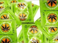 Cannabis condoms thumb