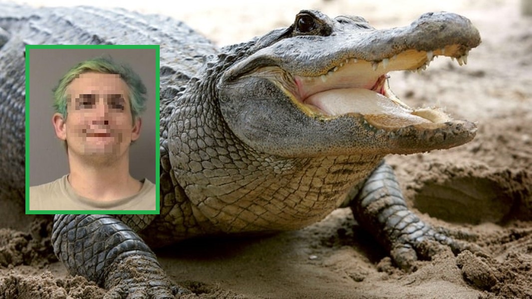 meth-man-florida-alligator
