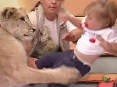 lion-attacks-baby