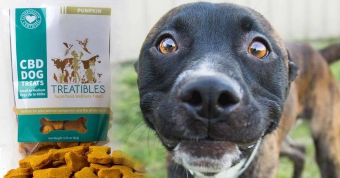 Lacing Your Dog's Treats With Weed...? It's Big Business