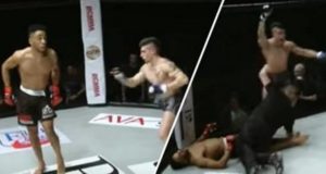 MMA Head Kick Knockou