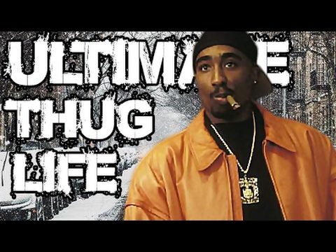Thug Life Videos 2017