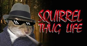 squirrel thug