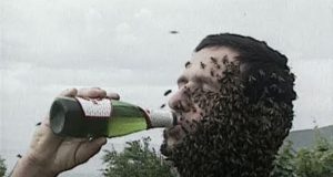 Beard of Bees