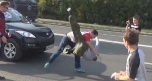 Russian Driver Fight