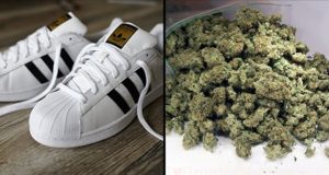 Adidas weed