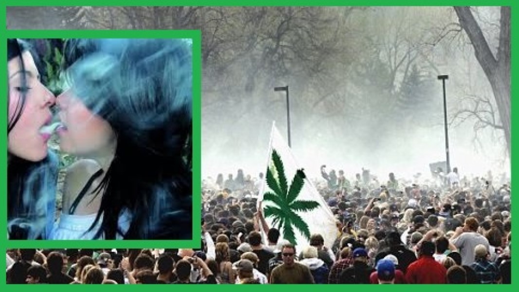 Weed Festival
