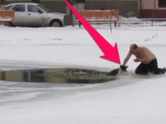 saves-dog-from-frozen-pond