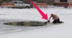 saves-dog-from-frozen-pond