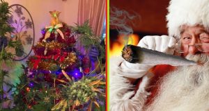 Cannabis Christmas Tree
