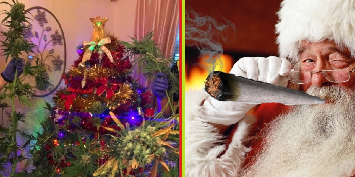 Cannabis Christmas Tree